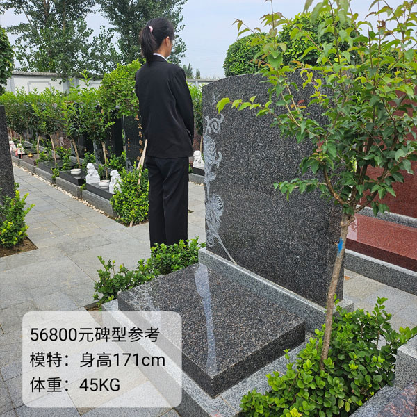 碑型参考
